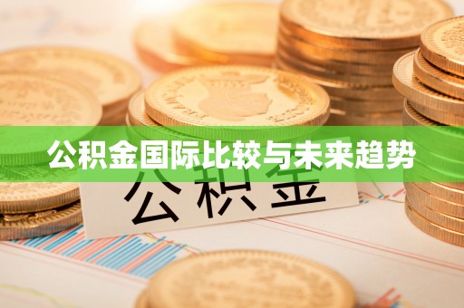 余干公积金国际比较与未来趋势
