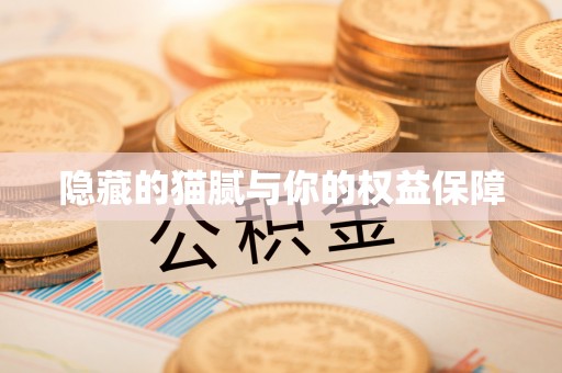 余干隐藏的猫腻与你的权益保障
