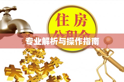 余干专业解析与操作指南
