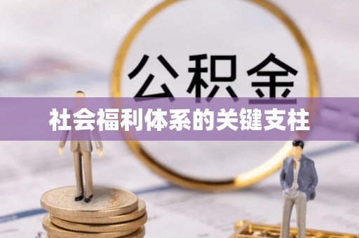 余干社会福利体系的关键支柱