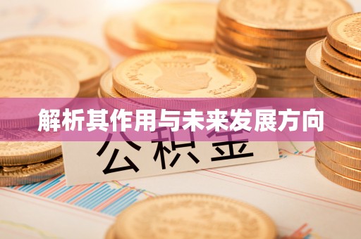余干解析其作用与未来发展方向