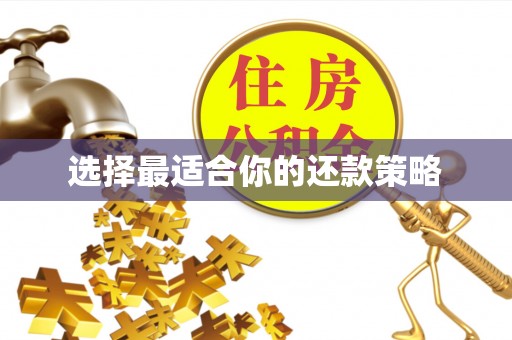 余干选择最适合你的还款策略