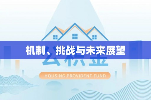 余干机制、挑战与未来展望